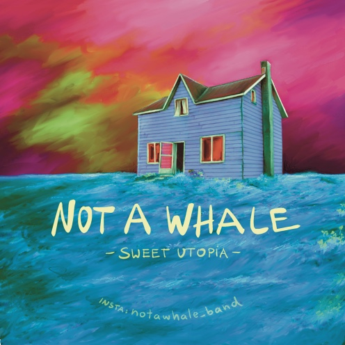 LIVE: NOT A WHALE